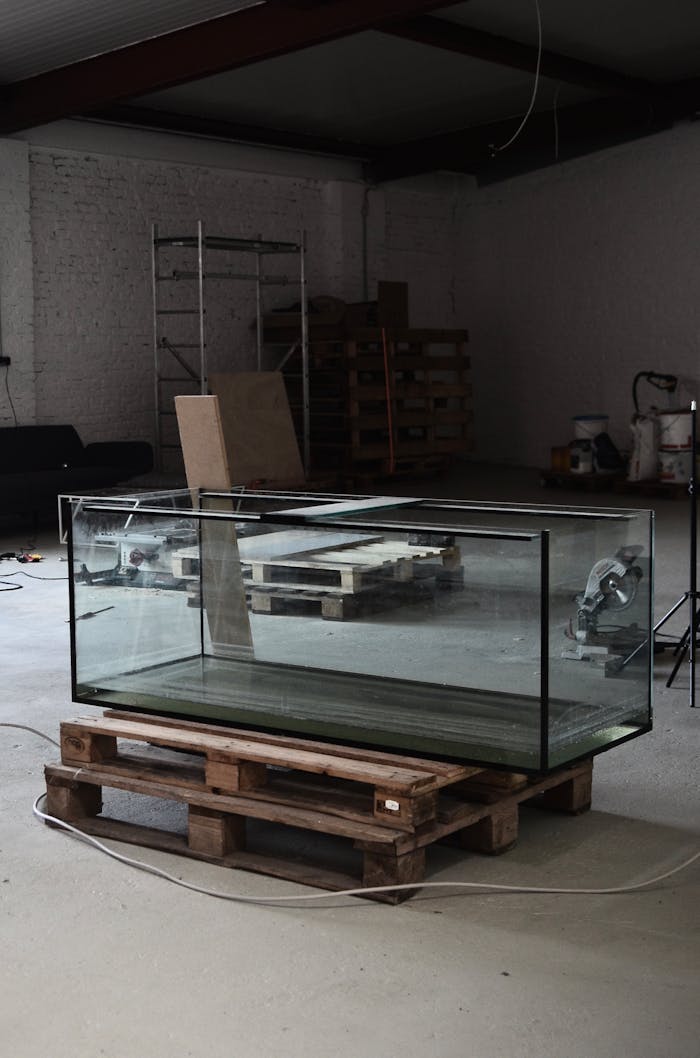 Spacious room with empty aquarium placed on wooden stand